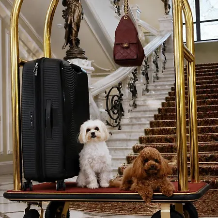 Bristol Hotel 5*